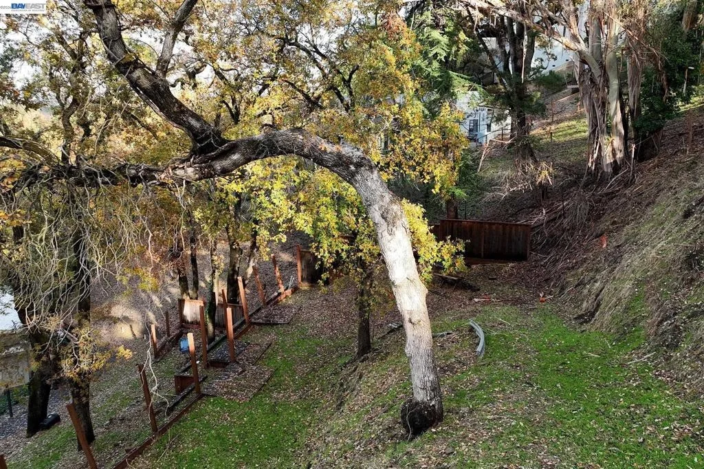 Photo of 247 Sequoia Ave
