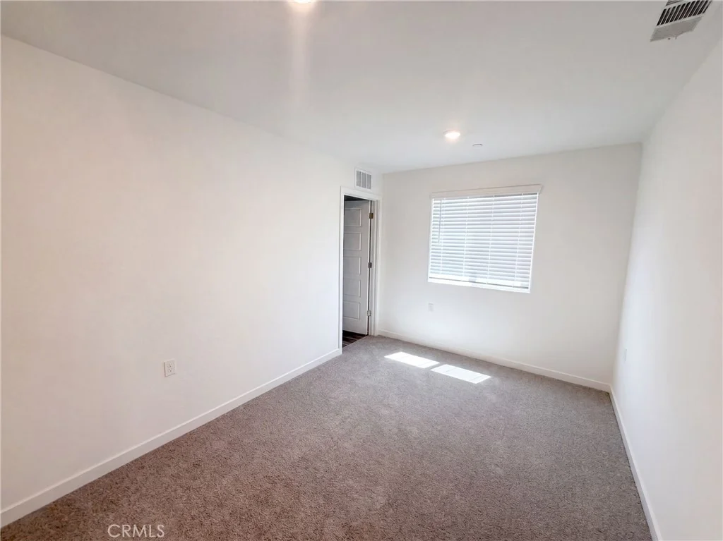Photo of 3267 Carambola