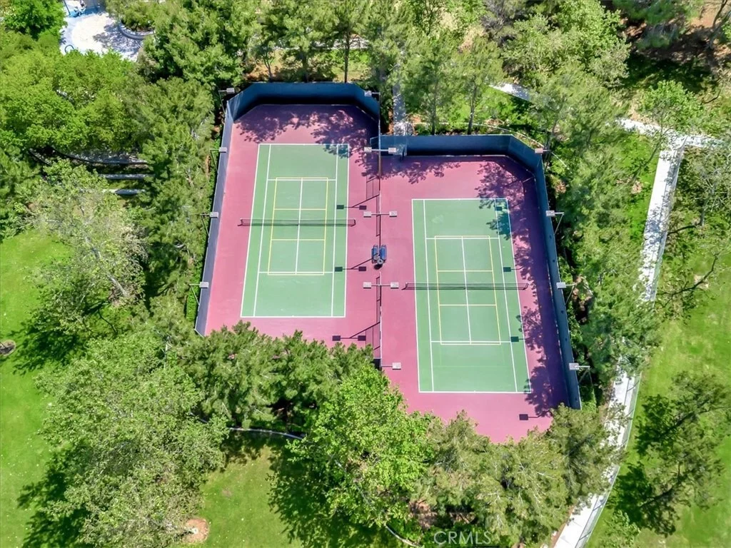 Photo of 95 Canopy
