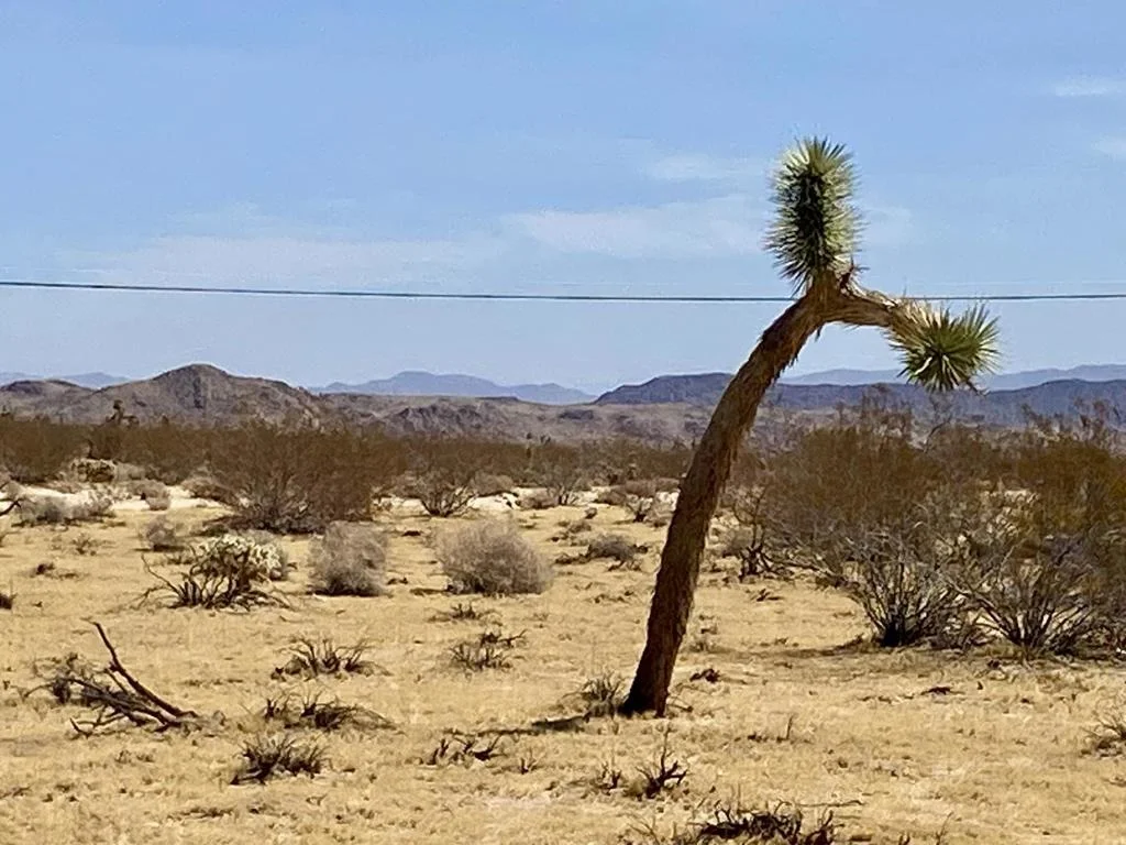 Photo of 62585 Two Mile Road