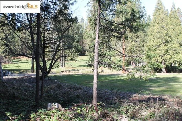 Photo of 22846 Fuller Rd