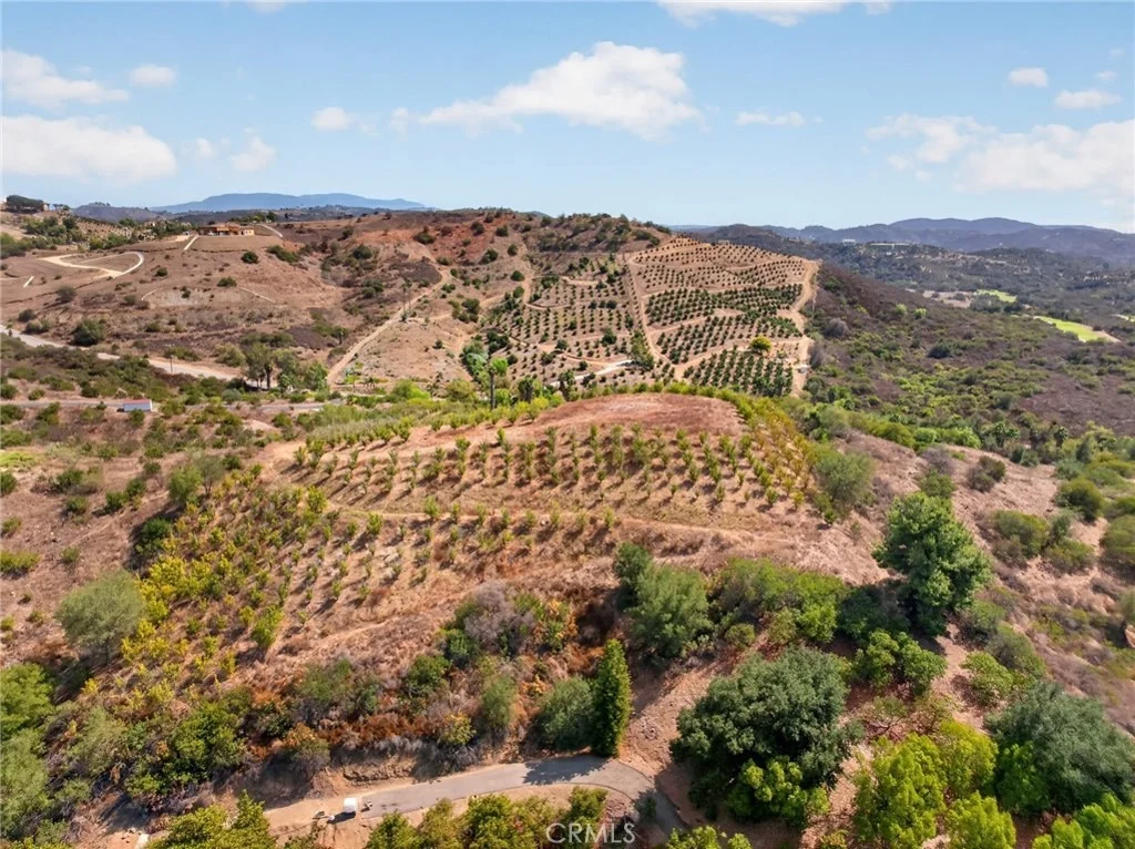 Photo of 16 Terreno