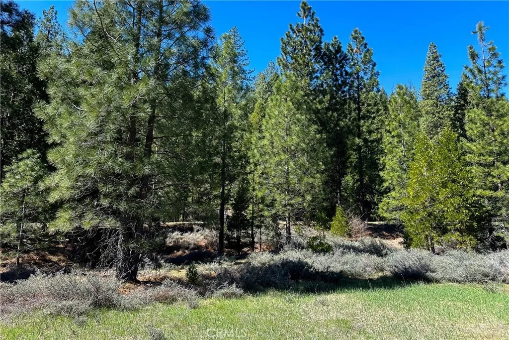 Photo of 79402 State Highway 3