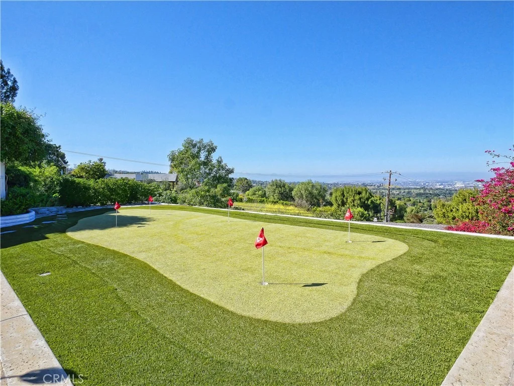 Photo of 49 Saddleback