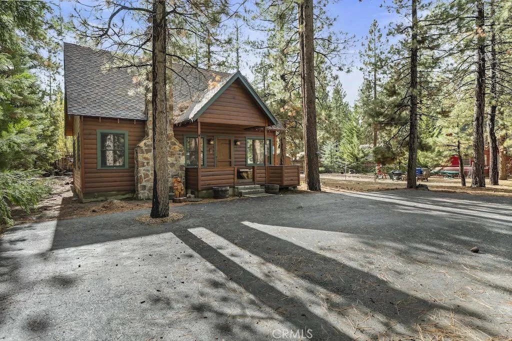 Photo of 39161 Buckthorn