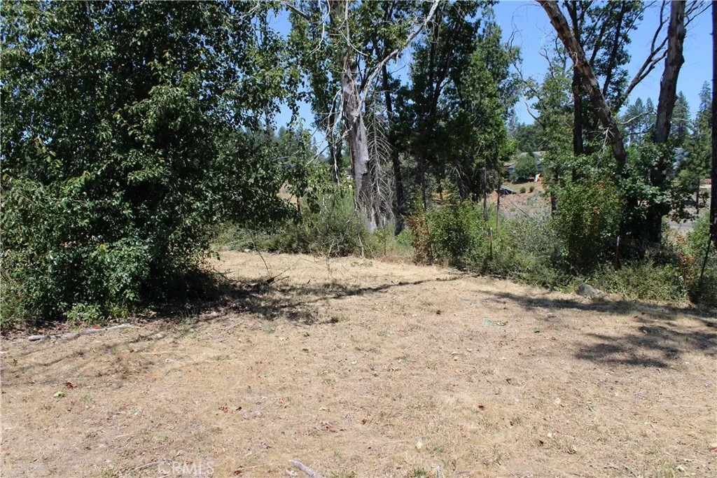 Photo of 5678 Clara