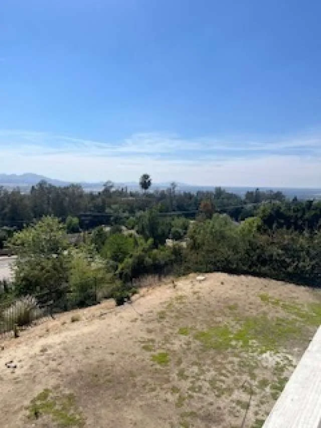 Photo of 28831 Terrace Drive