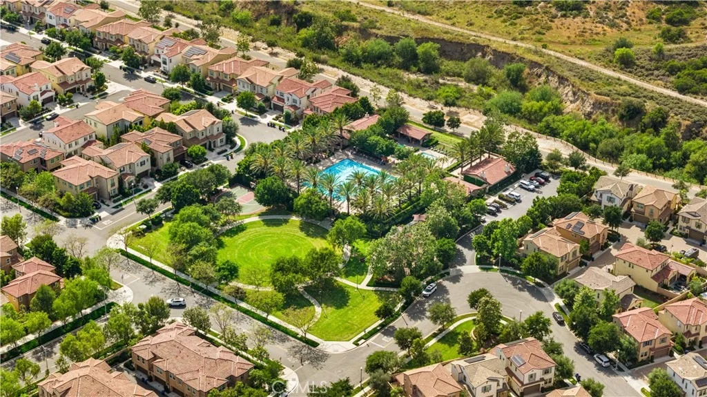 Photo of 15 Calliope