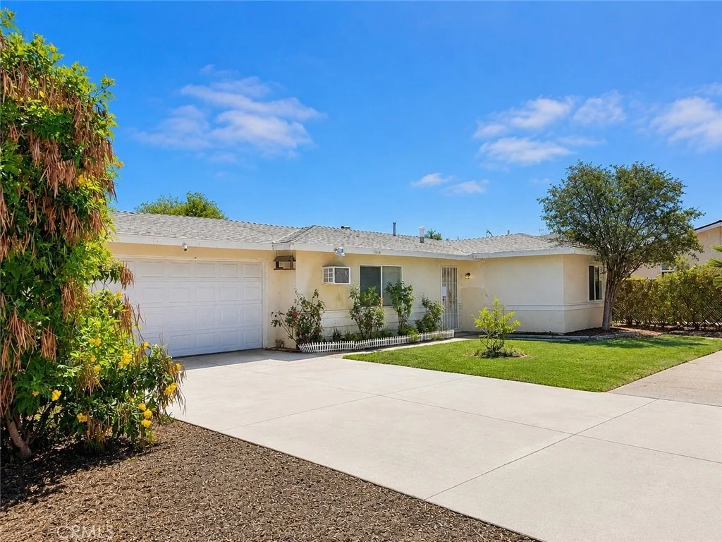 Photo of 24655 Eucalyptus