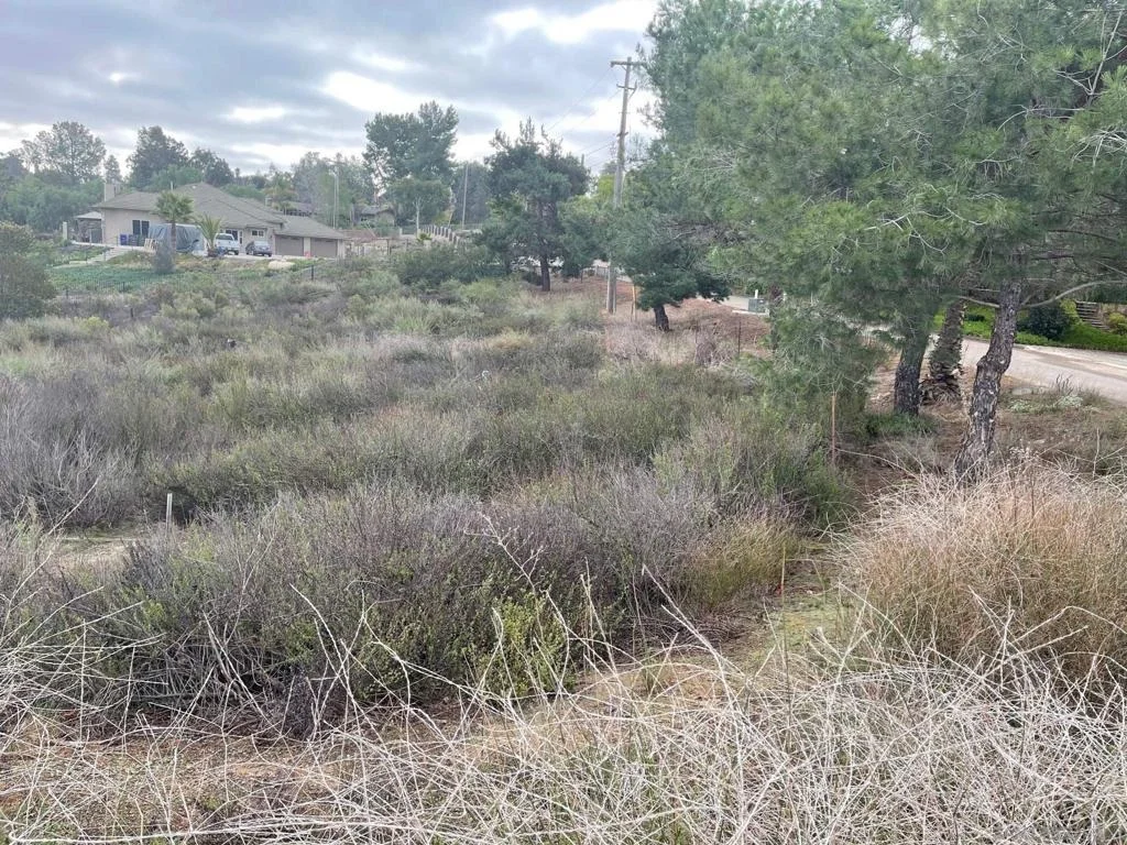 Photo of 89 Yacoo Ct