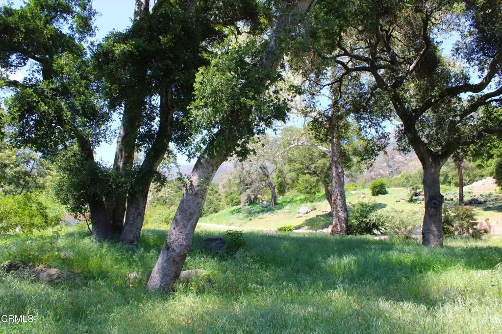 Photo of 809 Ashley Road
