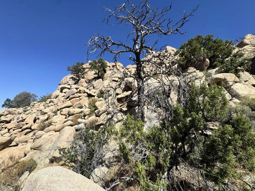 Photo of 5990 Acoma Trail