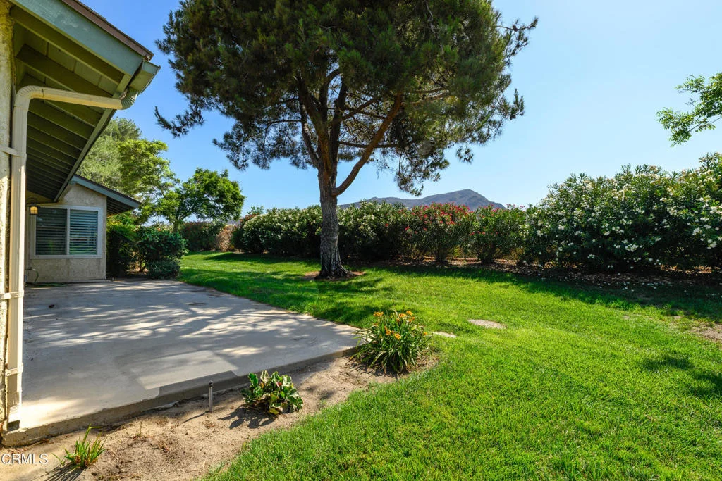 Photo of 20194 Village 20