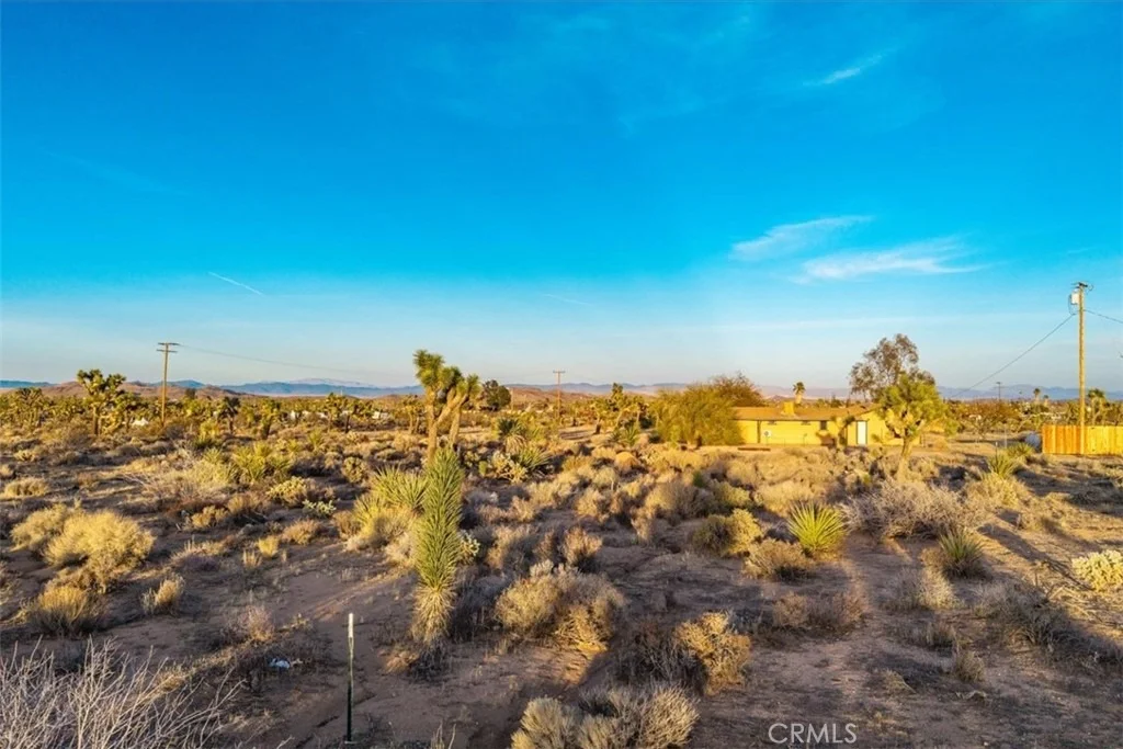 Photo of 57575 Campanula Street