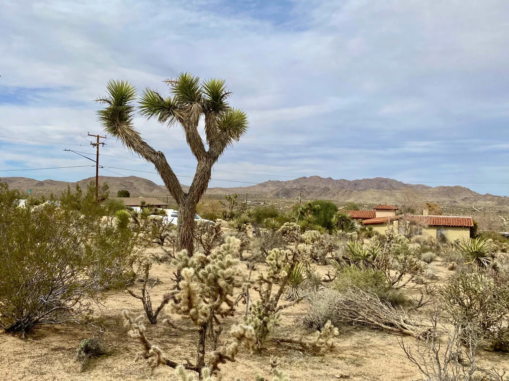 Photo of 6925 Sunnyhill Road