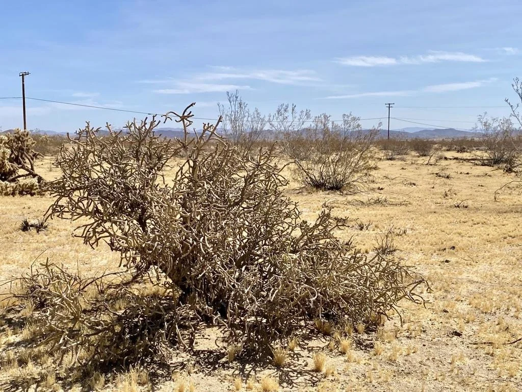 Photo of 62585 Two Mile Road