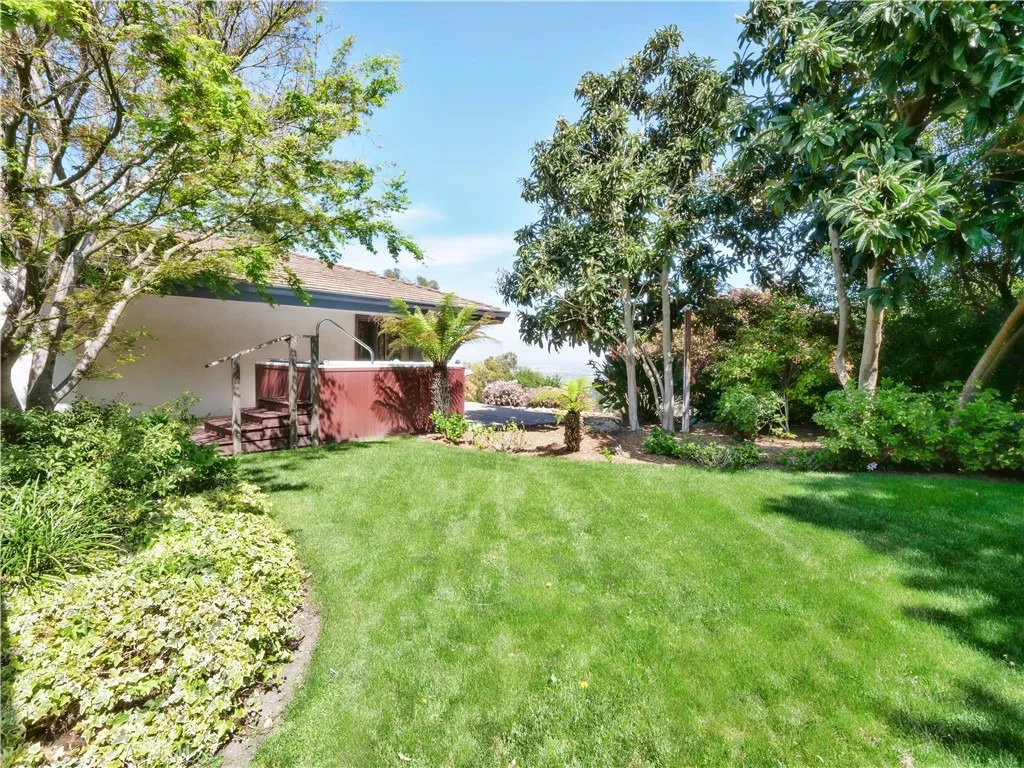 Photo of 57 Saddleback