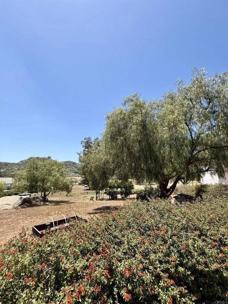 Photo of 2527 Southern Oak Road