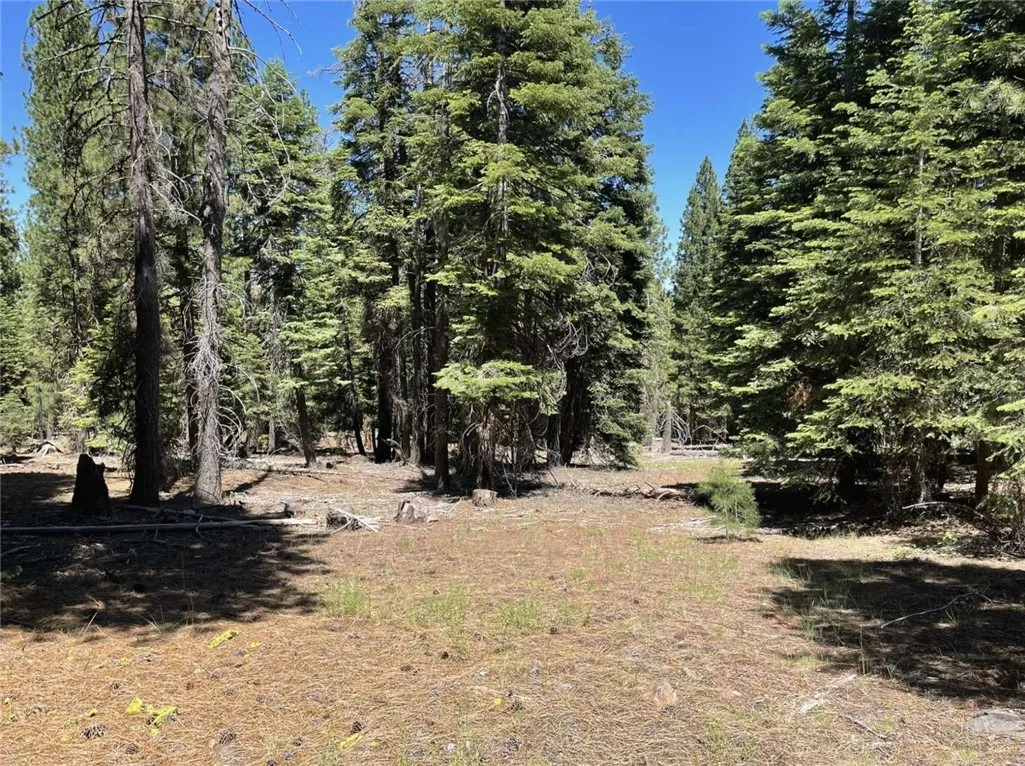 Photo of 0 Range Road