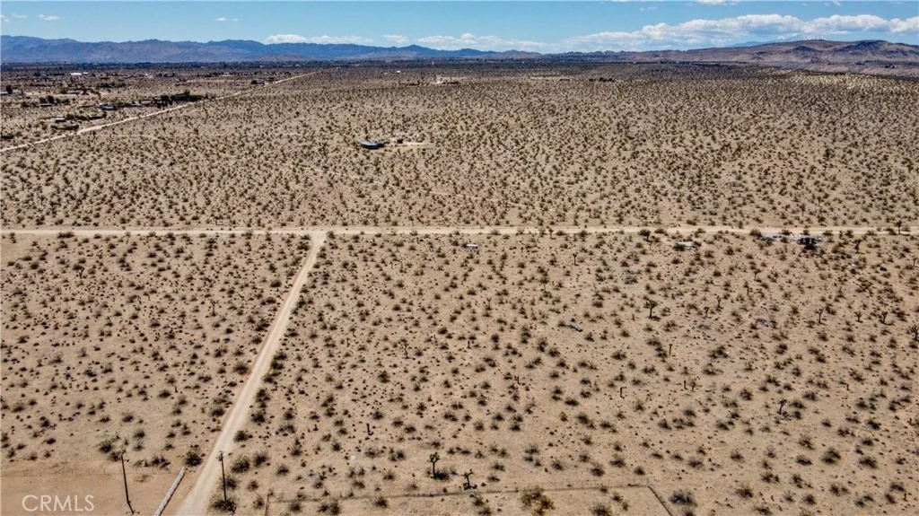 Photo of 888 Lucky Lane
