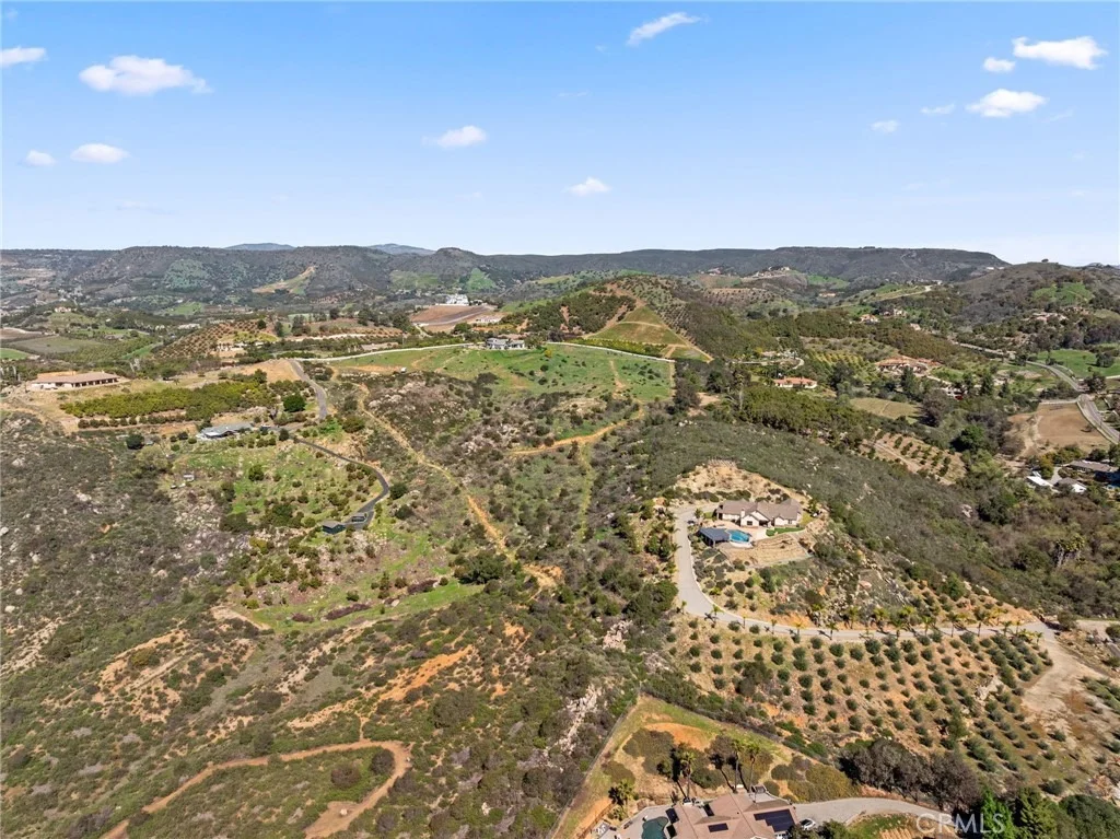 Photo of 2 Las Palmeras