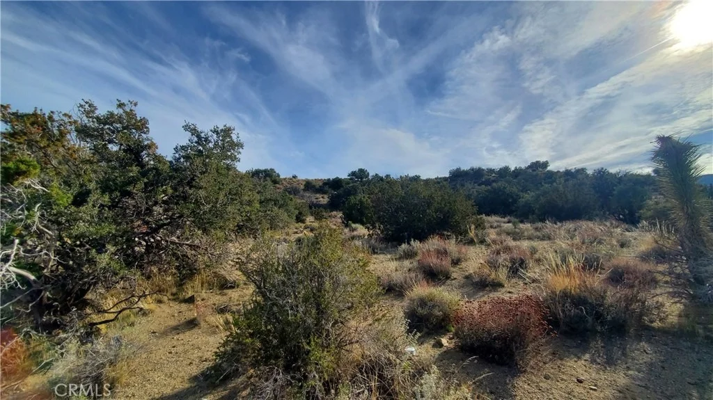 Photo of 0 Vicinity Ross Road E