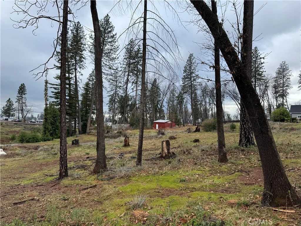Photo of 1037 Thomasson Lane