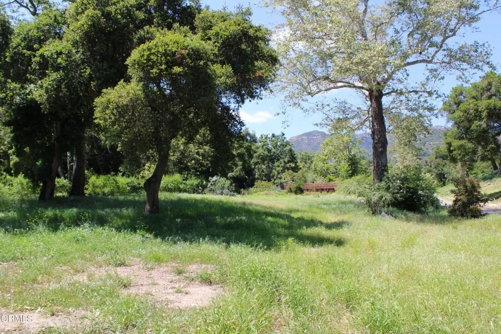 Photo of 809 Ashley Road
