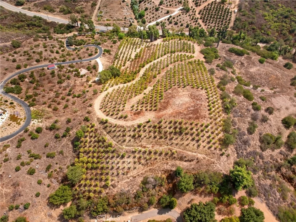 Photo of 16 Terreno
