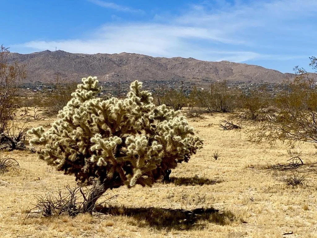 Photo of 62585 Two Mile Road