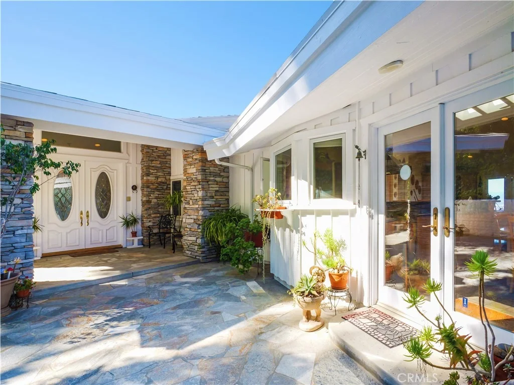 Photo of 49 Saddleback