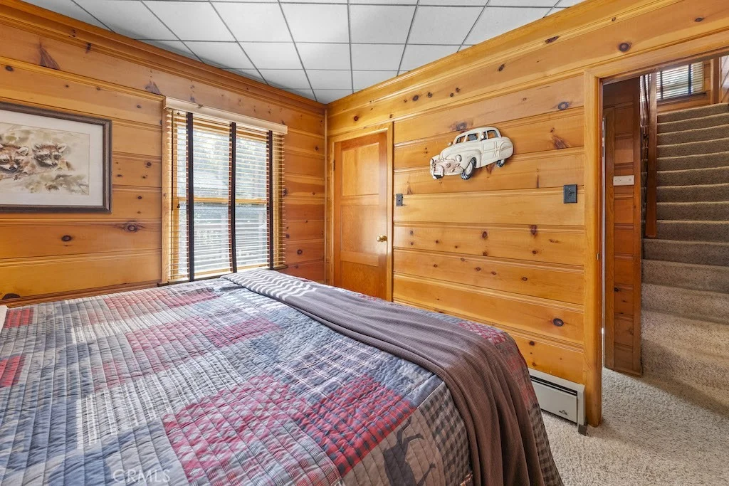 Photo of 39161 Buckthorn
