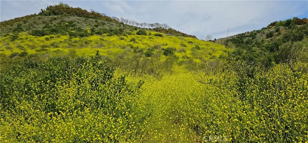 Photo of 46700 El Prado Road