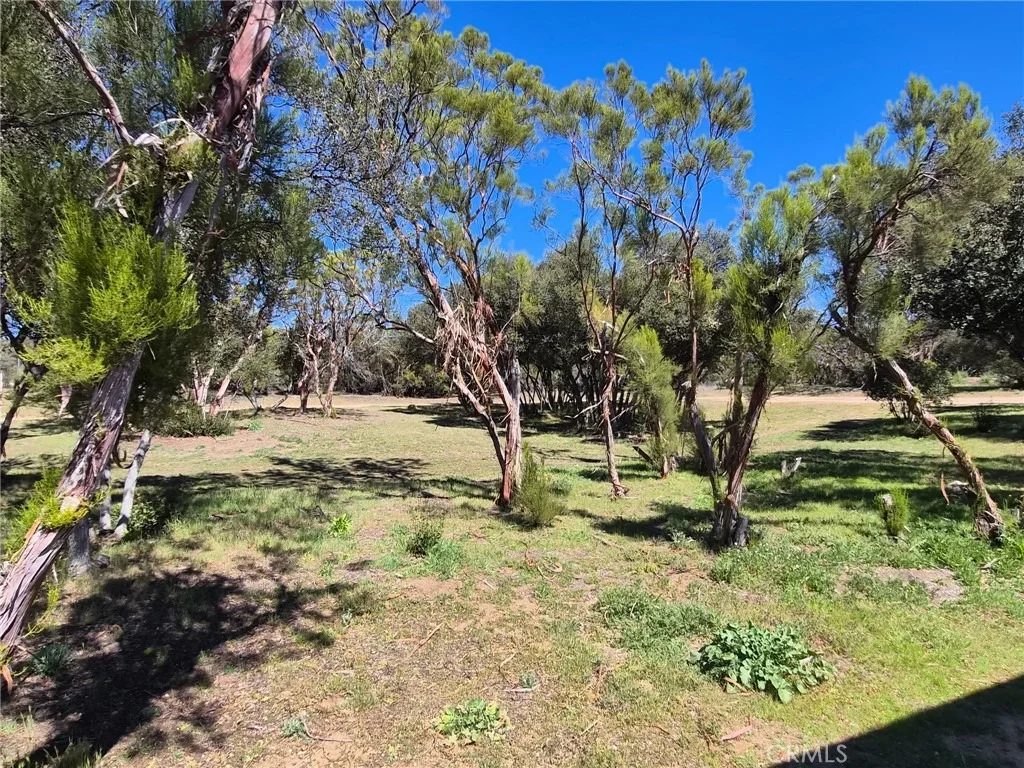 Photo of 38295 Indian Road
