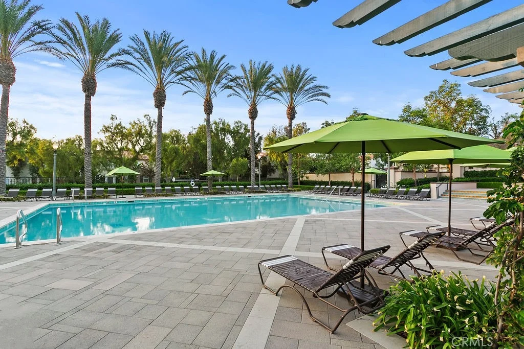 Photo of 41 Carpenteria