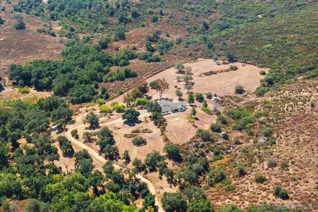 Photo of 23895 Ladrido