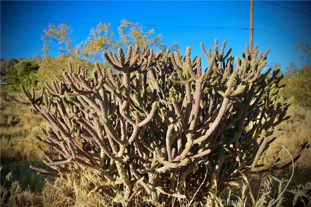 Photo of 60255 Natoma Trail