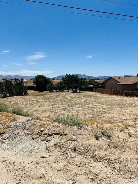 Photo of 0 Cholla
