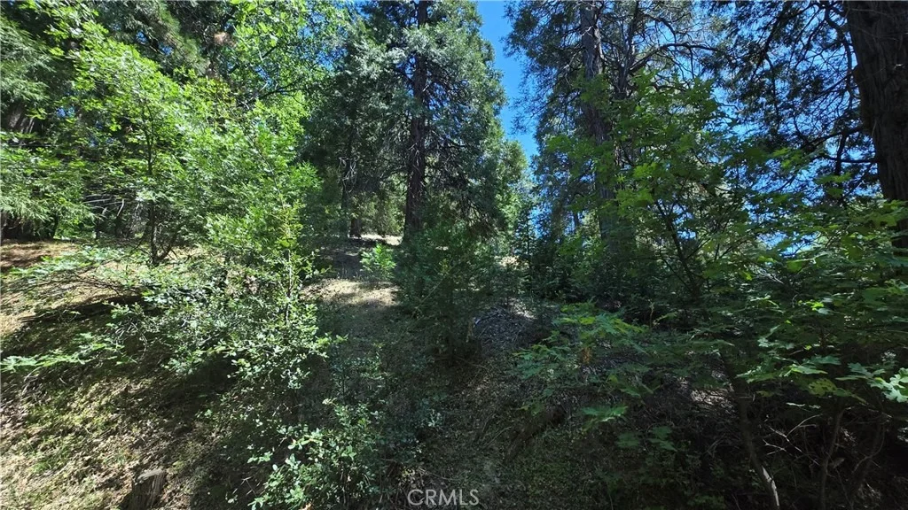 Photo of 22494 Mojave River Road