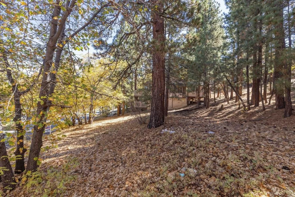 Photo of 1409 Klamath Road