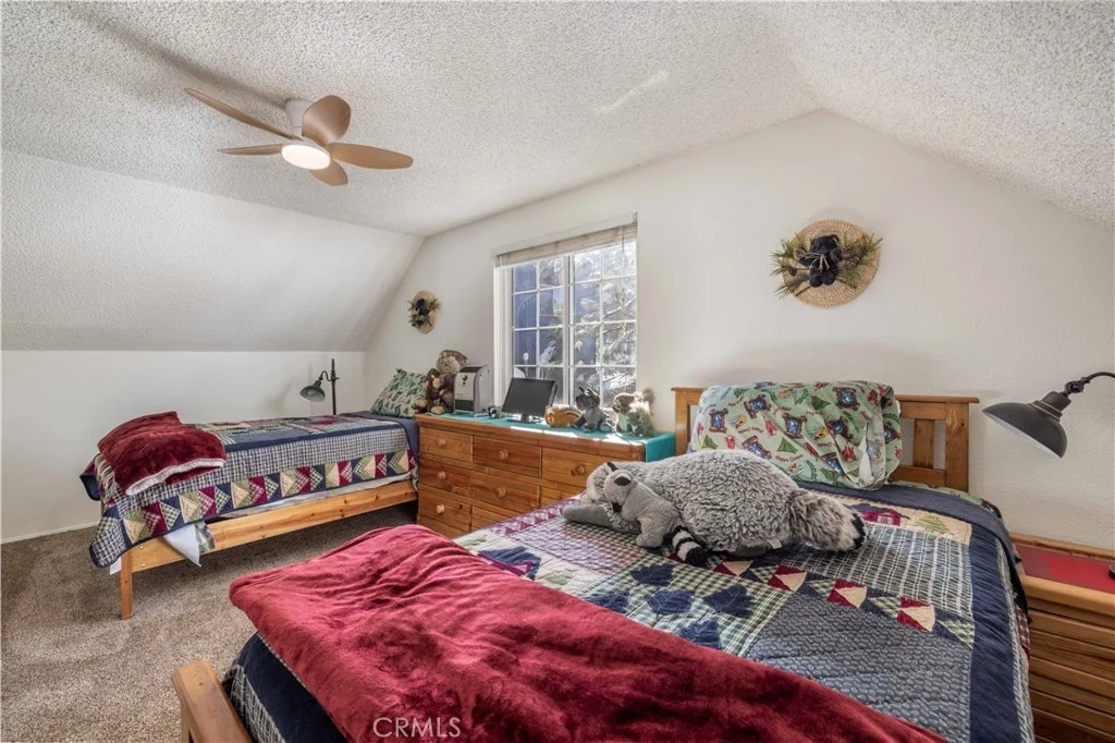 Photo of 568 Wren