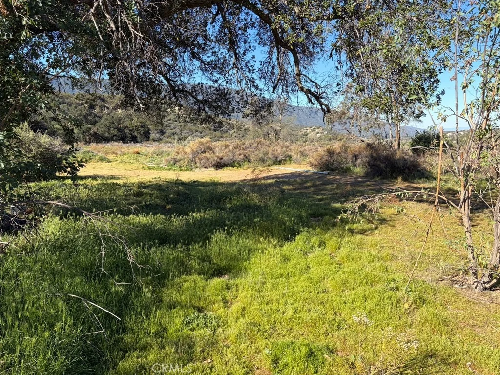 Photo of 36732 Highway 79