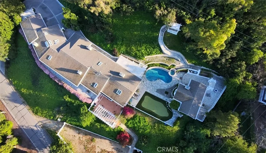 Photo of 49 Saddleback