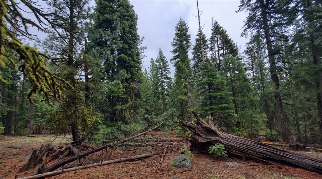 Photo of 0 Range Road