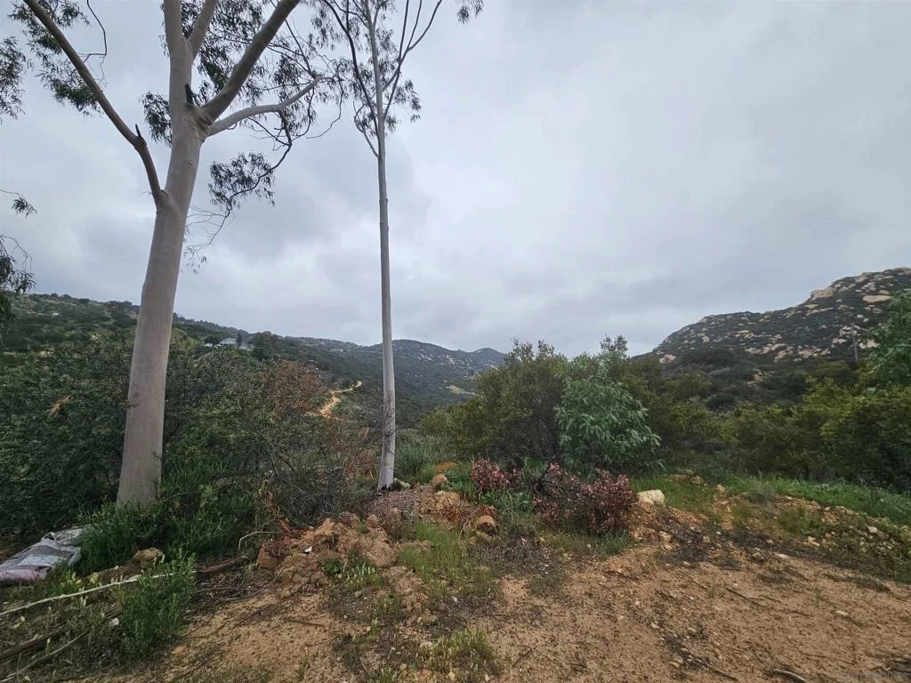 Photo of 6465 Rainbow Heights