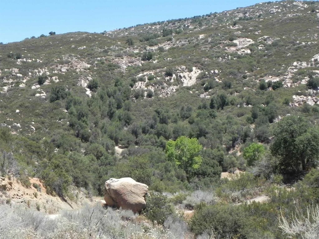 Photo of 9779 Deer Valley Trail
