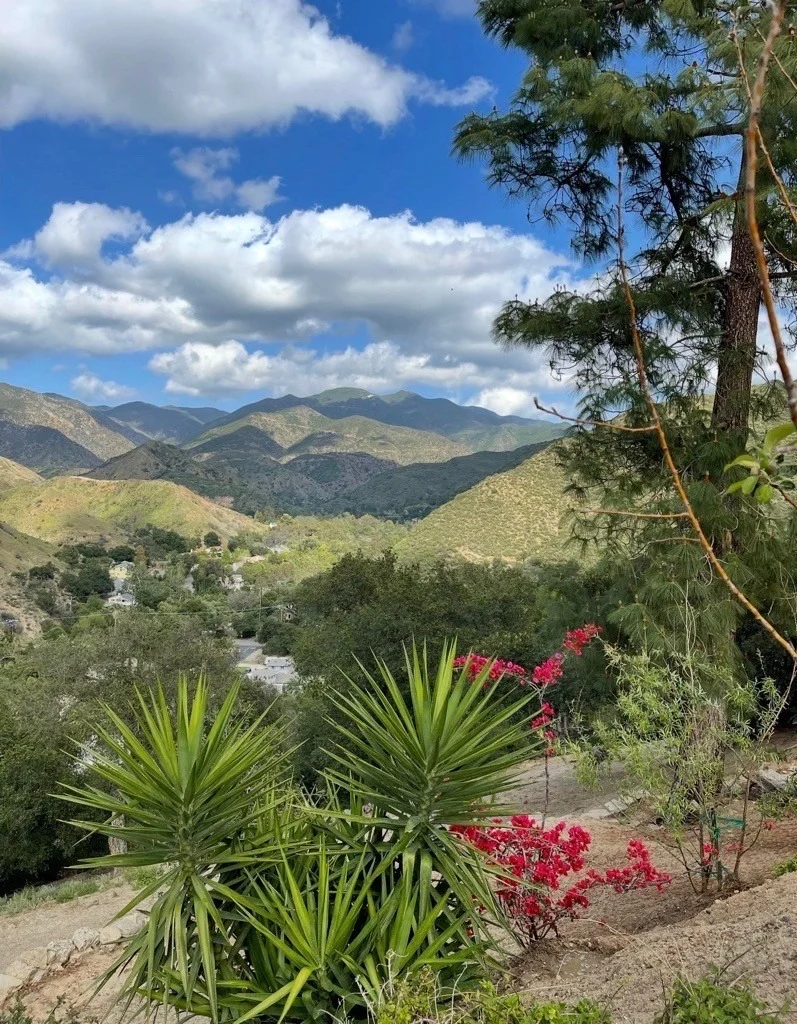 Photo of 28151 Modjeska Grade Road