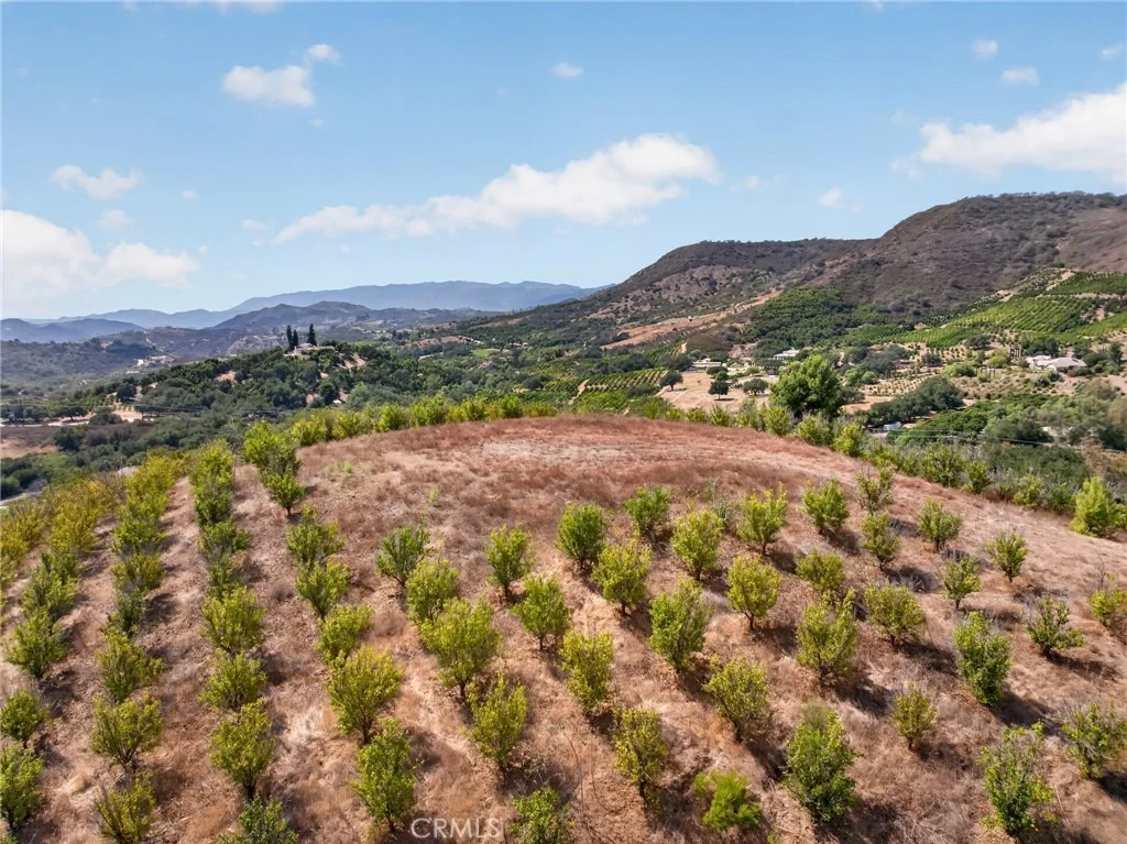 Photo of 16 Terreno