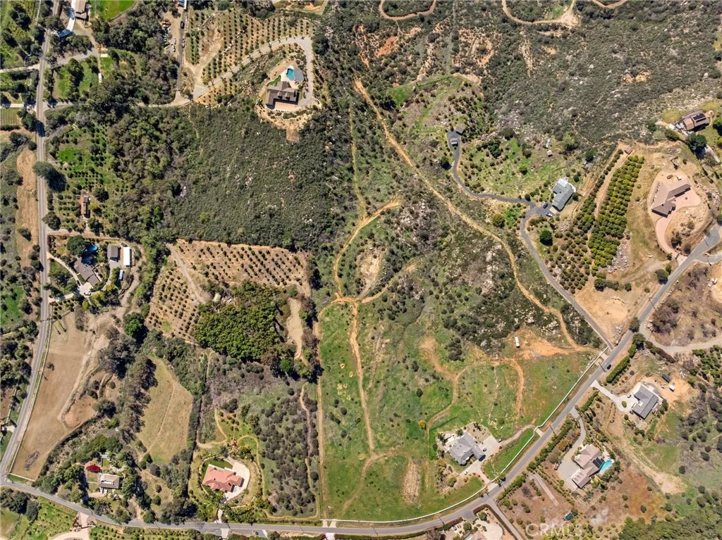 Photo of 2 Las Palmeras
