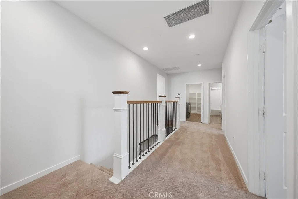 Photo of 29136 Tanoak